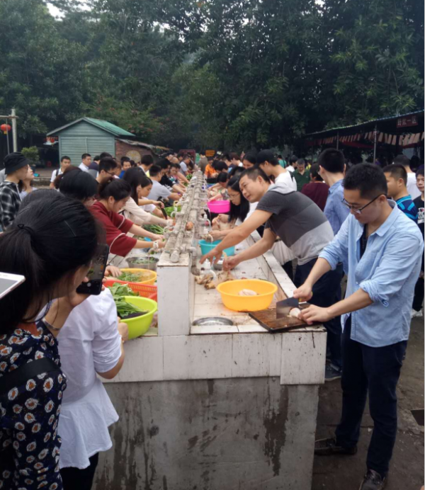 【康藍(lán)員工風(fēng)采】觀瀾九龍山生態(tài)園——戶外拓展活動(dòng)
