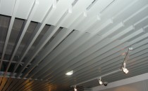 中國(guó)銀行深圳分行展覽廳（展示區(qū)天花）